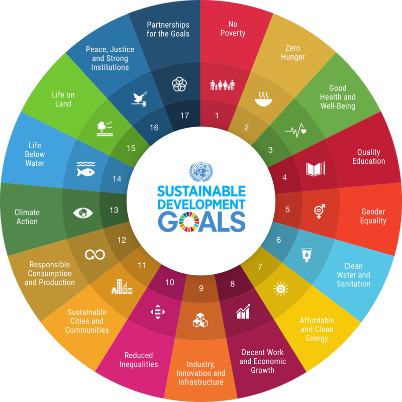 The 17 United Nations (UN) Sustainable Development Goals wheel of prosperity.